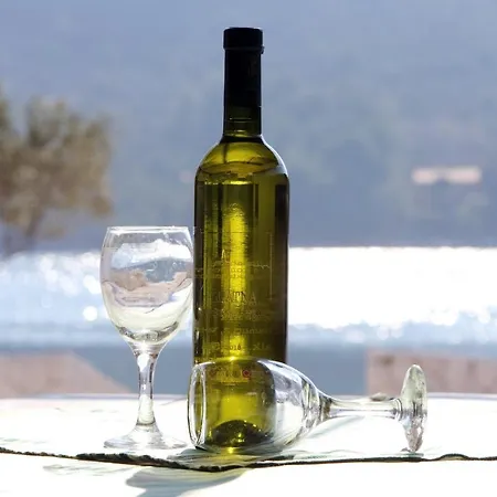 Andelic * Vinišće