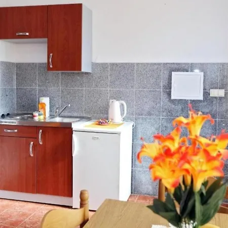 Andelic Apartamento Vinišće