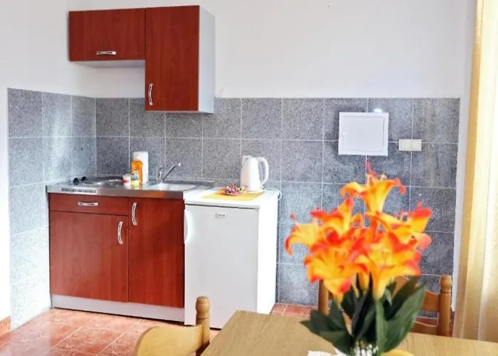 Andelic Apartment Vinišće